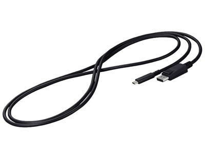 EIZO CP200-BK DisplayPort kabel 2 m USB C Sort