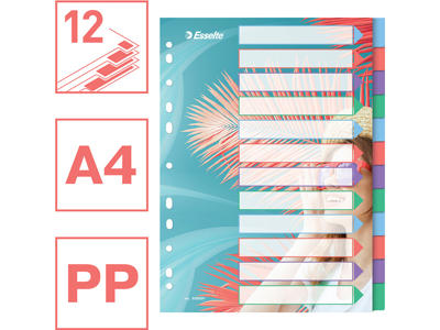Faneblade, A4, 12-delt, Flerfarvet, Esselte Colour'Breeze 