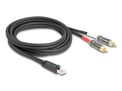 DeLOCK 88171 lydkabel 2 m RJ-45 2 x RCA Sort