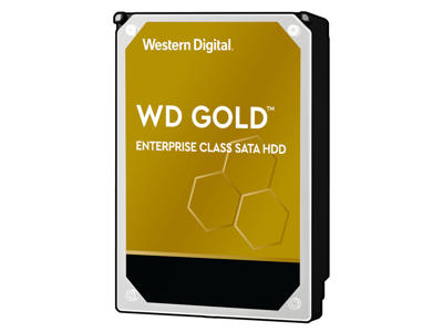 Western Digital Gold harddisk 10 TB 7200 rpm 256 MB 3.5" Serial ATA III